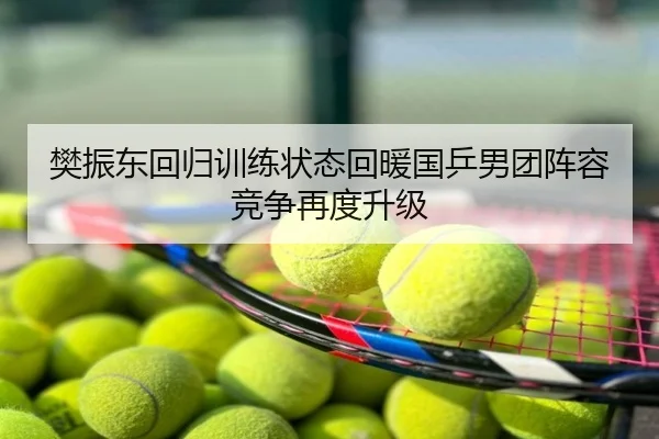 樊振东回归训练状态回暖国乒男团阵容竞争再度升级